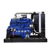 Diesel Engine